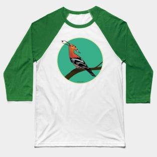 Hoopoe Baseball T-Shirt